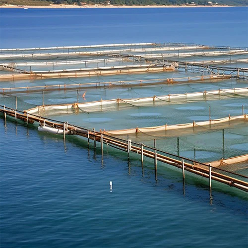 Aquaculture Industry